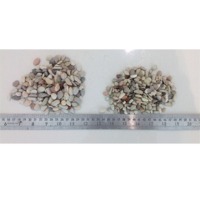 Mixed Gravel